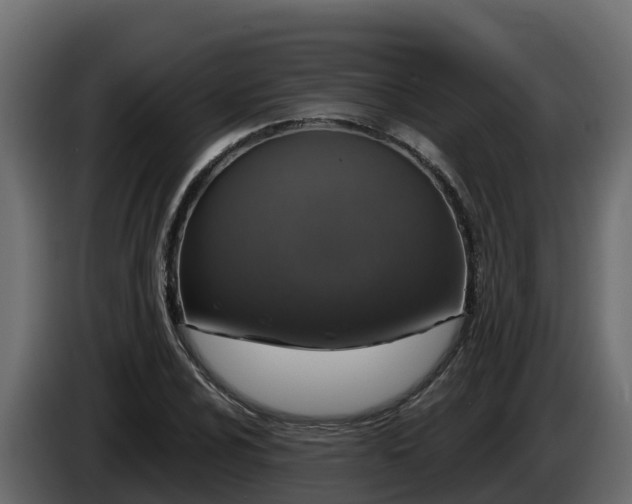 X0000085761024200703231150