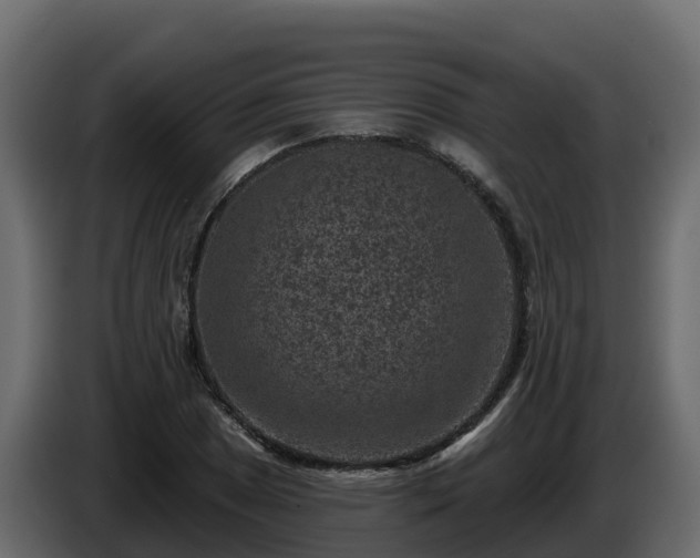 X0000085761025200703231150