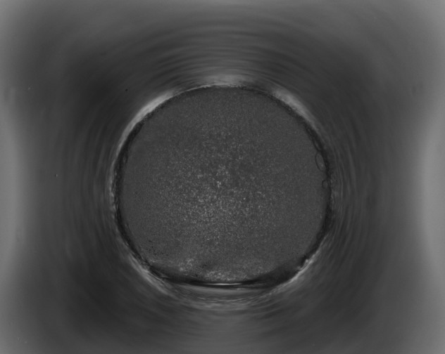 X0000085761026200703231150