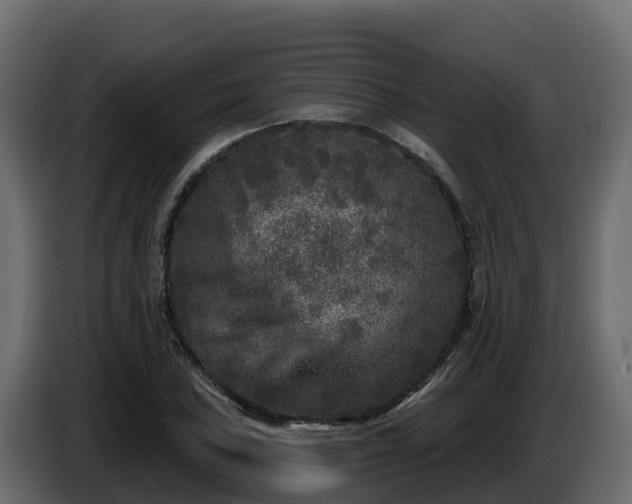 X0000085761027200703231150