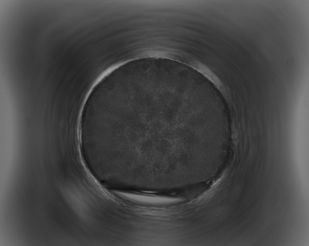 X0000085761028200703231150