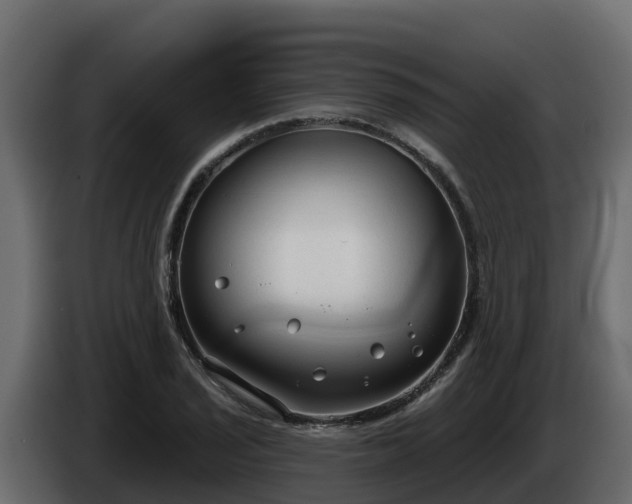 X0000085761029200703231150