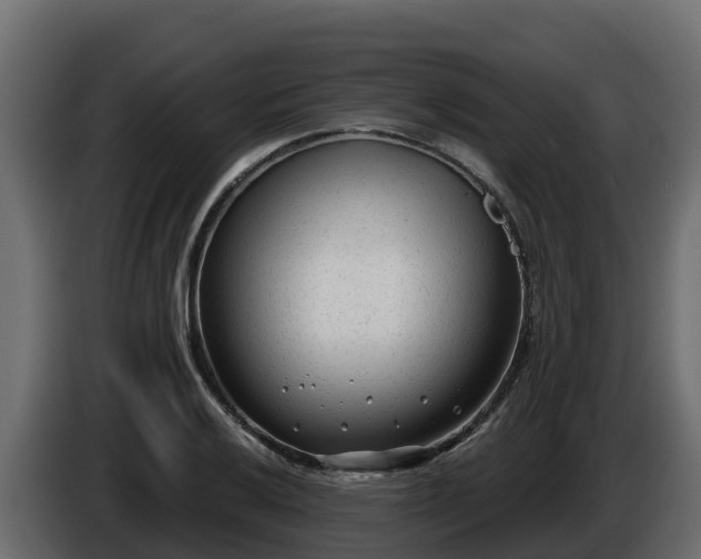 X0000085761032200703231150