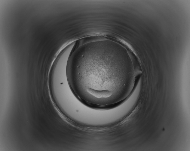 X0000085761034200703231150