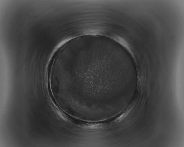 X0000085761035200703231150