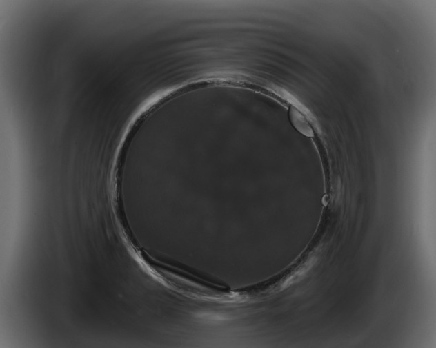 X0000085761037200703231150