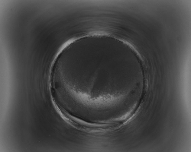 X0000085761038200703231150