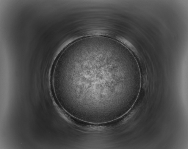 X0000085761039200703231150