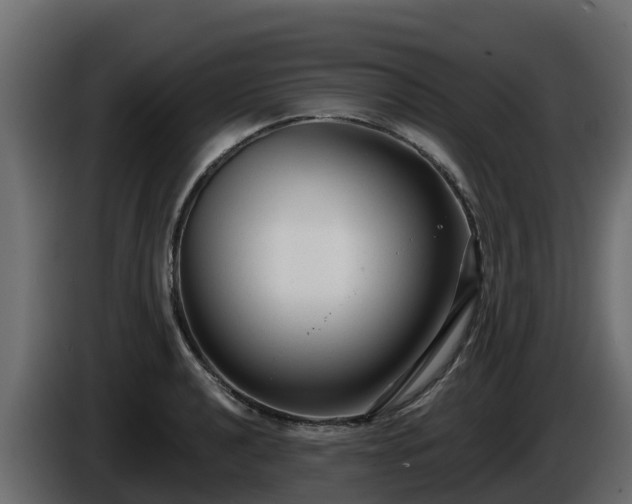 X0000085761040200703231150