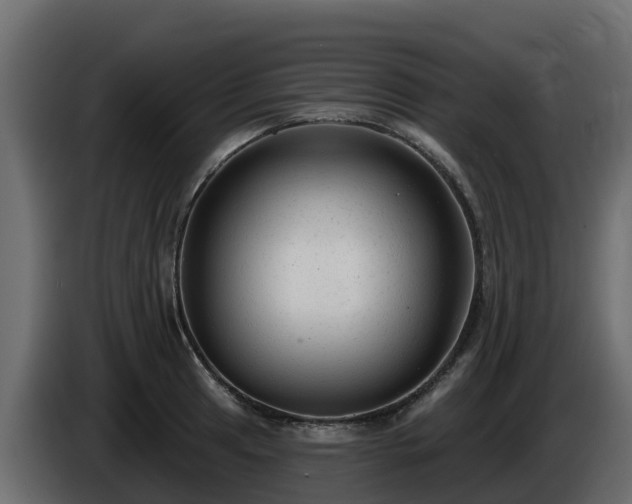 X0000085761041200703231150