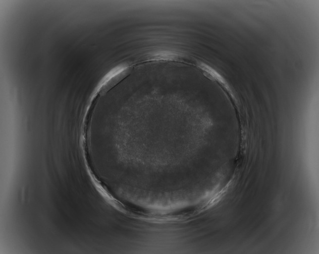 X0000085761042200703231150