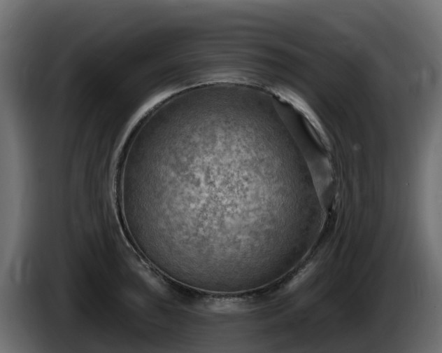 X0000085761043200703231150