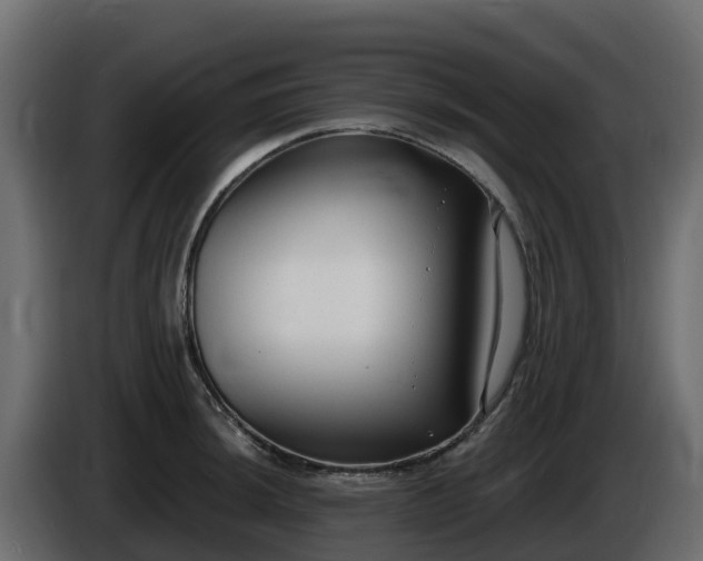 X0000085761044200703231150