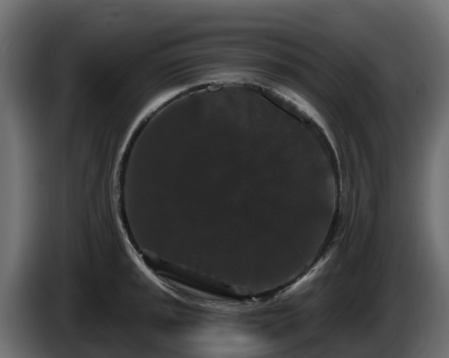 X0000085761045200703231150