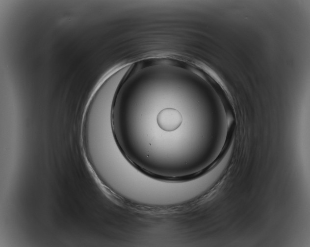 X0000085761050200703231150