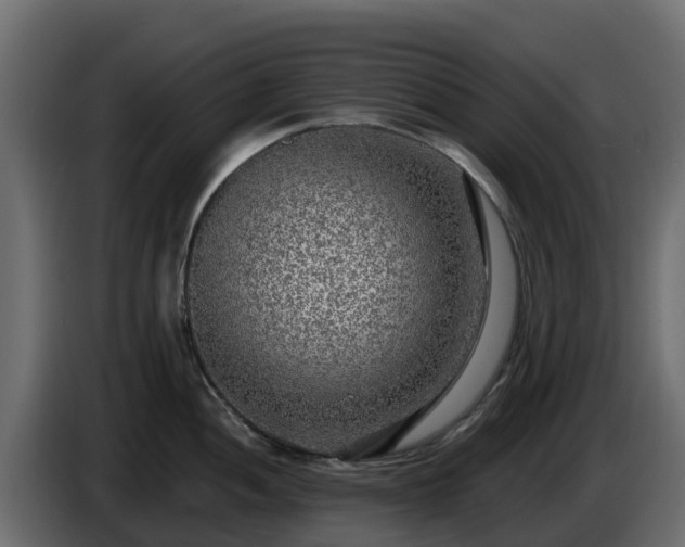 X0000085761052200703231150