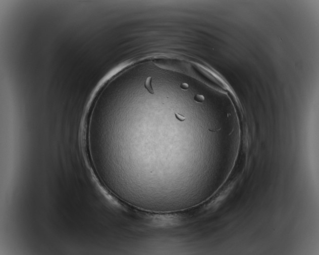 X0000085761053200703231150