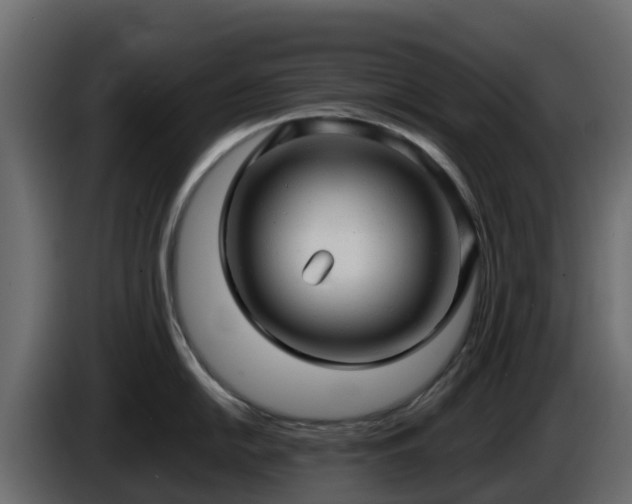 X0000085761054200703231150