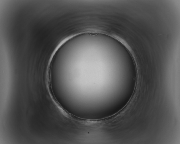 X0000085761056200703231150
