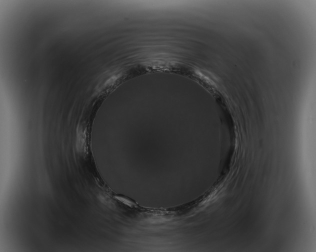 X0000085761060200703231149