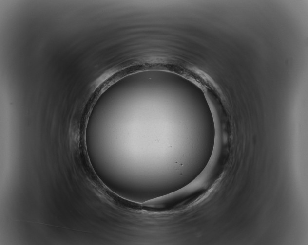 X0000085761065200703231149