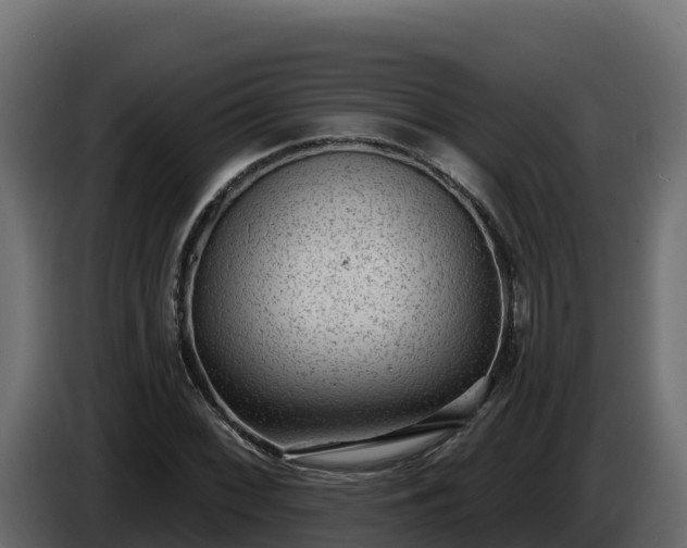 X0000085761068200703231149