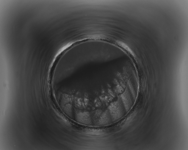 X0000085761071200703231149
