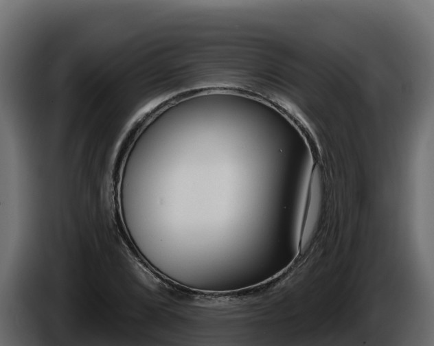 X0000085761072200703231149