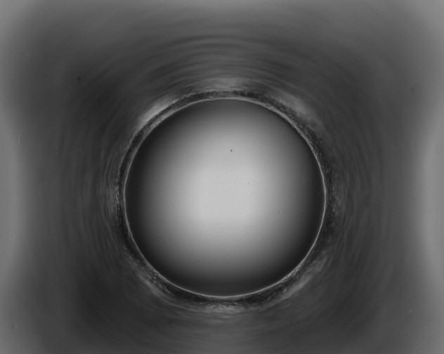X0000085761073200703231149