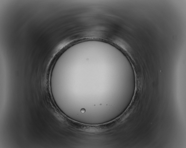 X0000085761074200703231149