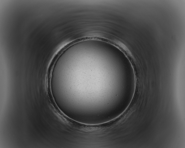 X0000085761076200703231149