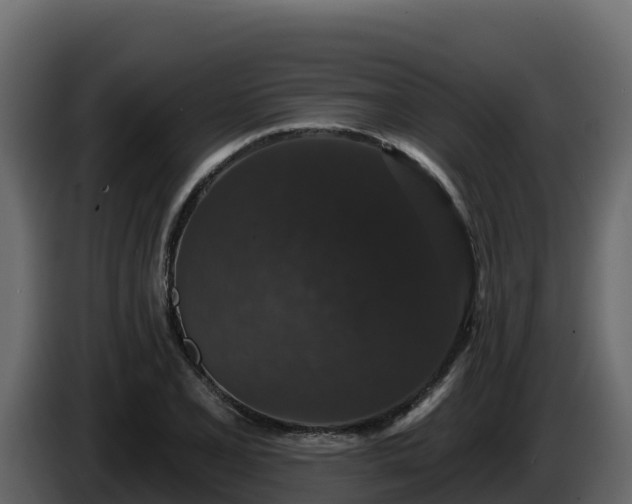 X0000085761077200703231149