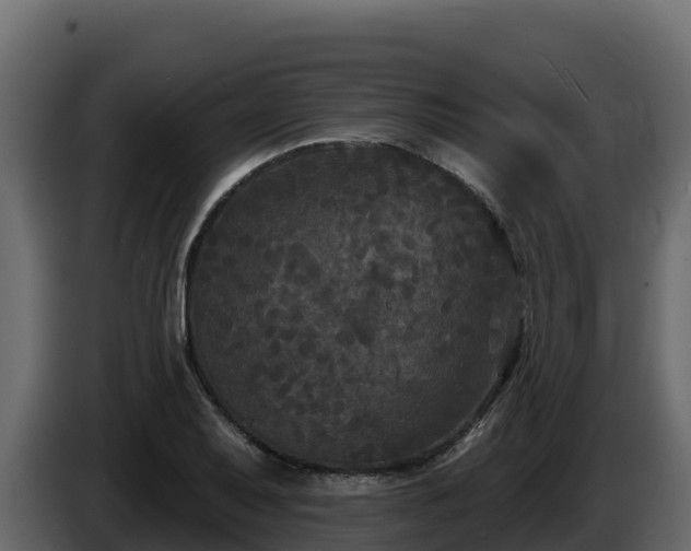 X0000085761079200703231149