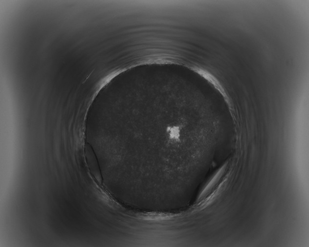 X0000085761081200703231149