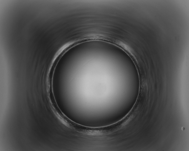X0000085761082200703231149