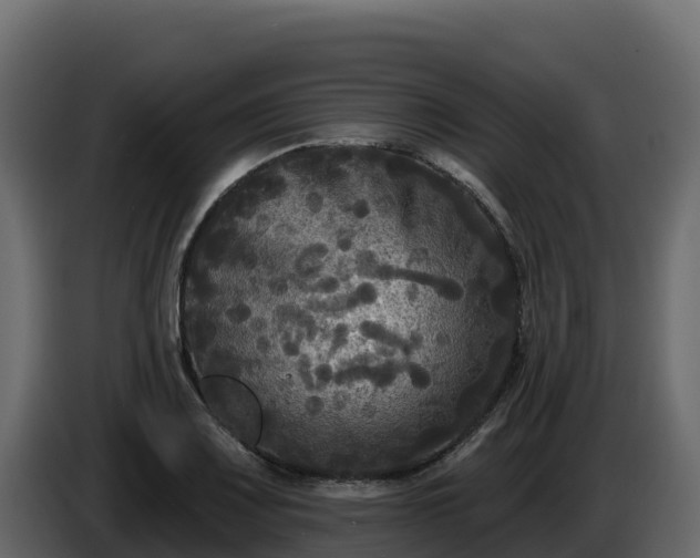 X0000085761083200703231149