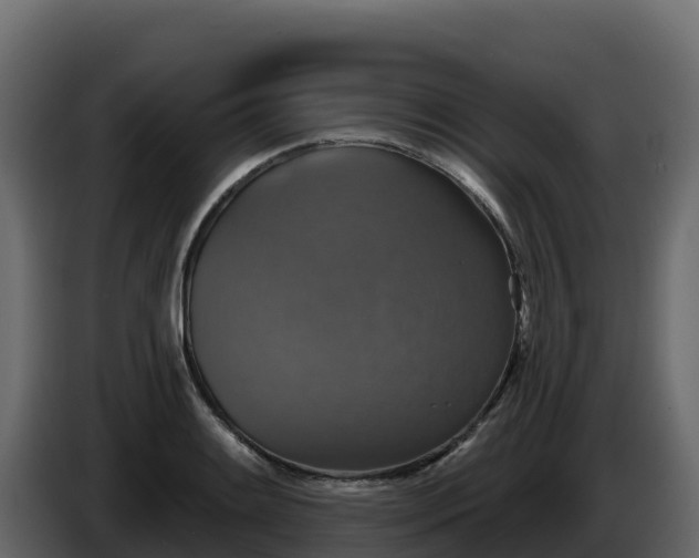 X0000085761084200703231149