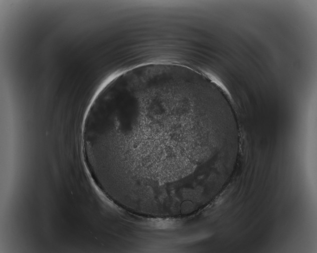 X0000085761087200703231149