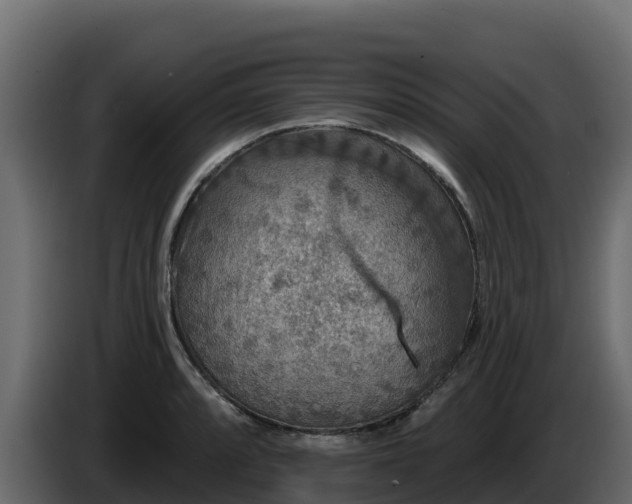 X0000085761088200703231149
