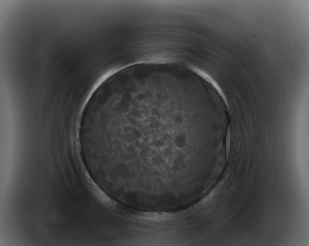 X0000085761091200703231149