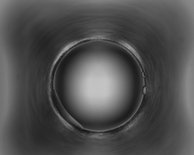 X0000085761093200703231149
