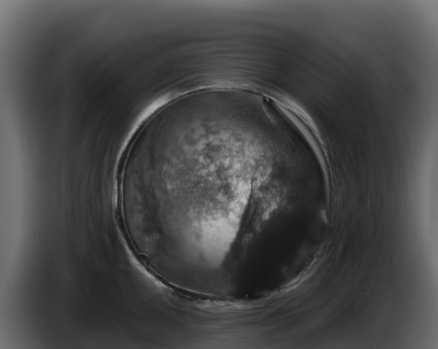 X0000085761095200703231149