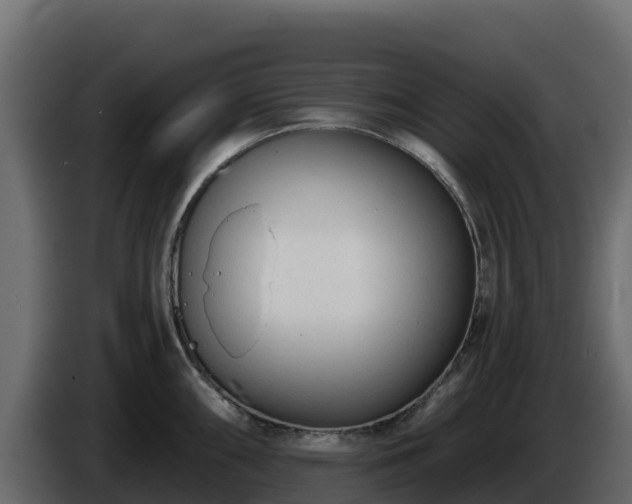 X0000085761098200703231149