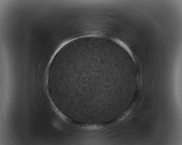 X0000085761099200703231149