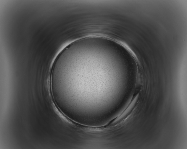 X0000085761100200703231149