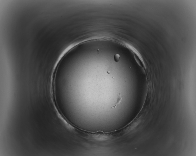 X0000085761103200703231149