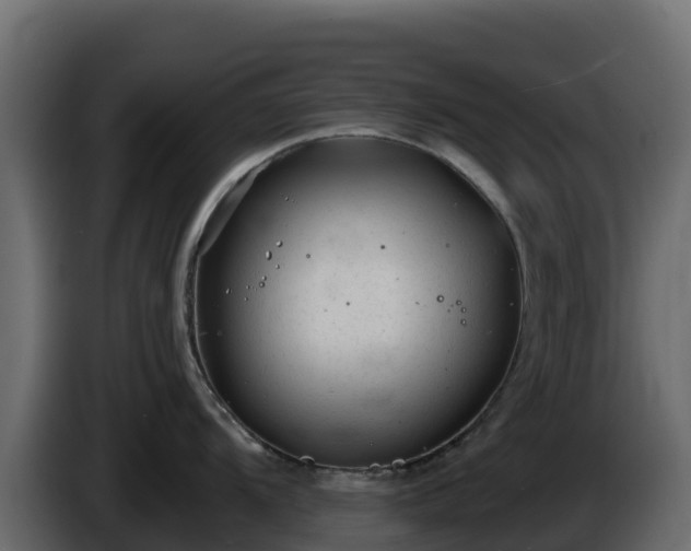 X0000085761104200703231149