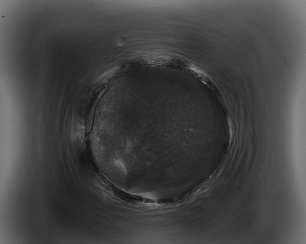 X0000085761108200703231148