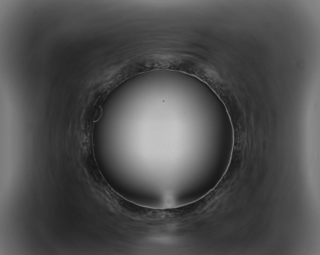 X0000085761109200703231148