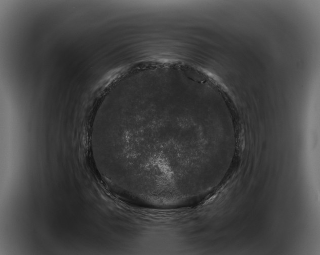 X0000085761110200703231148